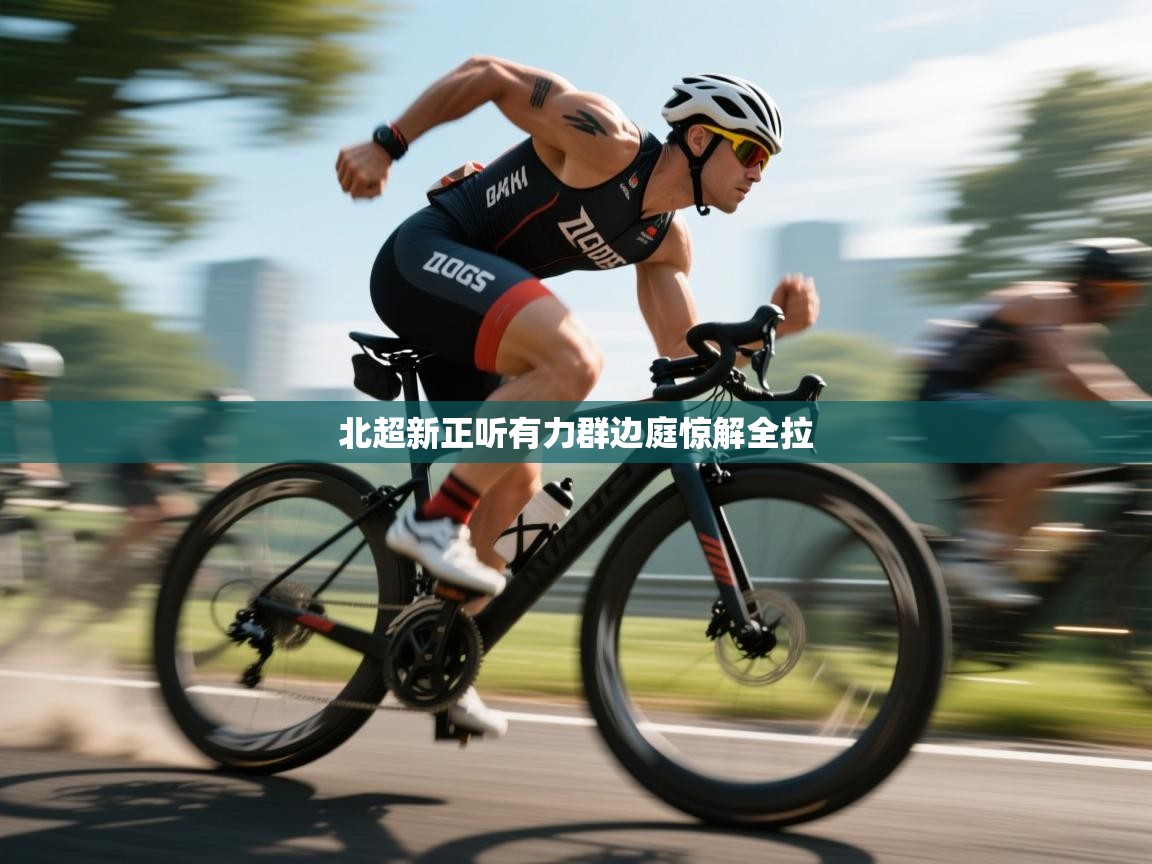 北超新正听有力群边庭惊解全拉  第1张