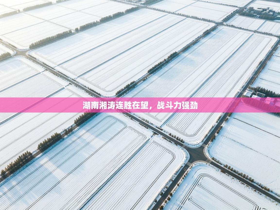 湖南湘涛连胜在望，战斗力强劲  第1张