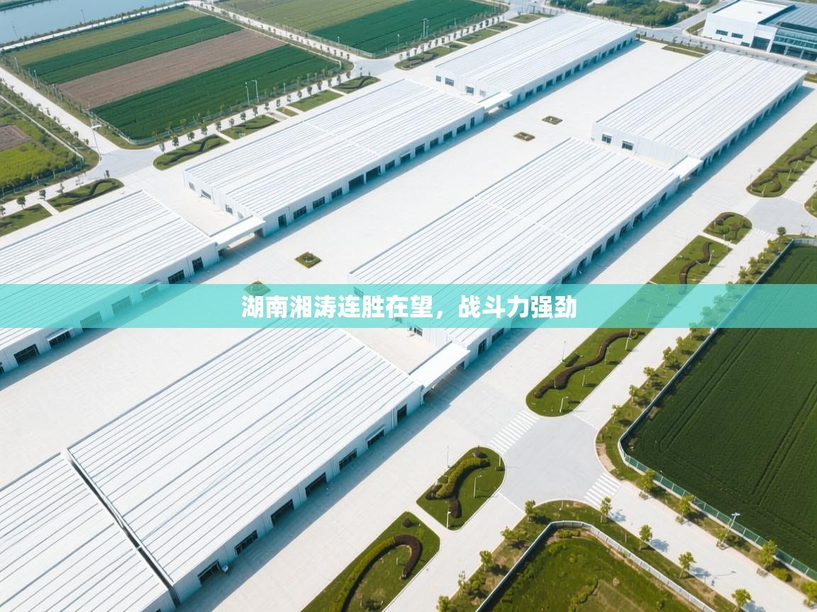 湖南湘涛连胜在望，战斗力强劲  第2张