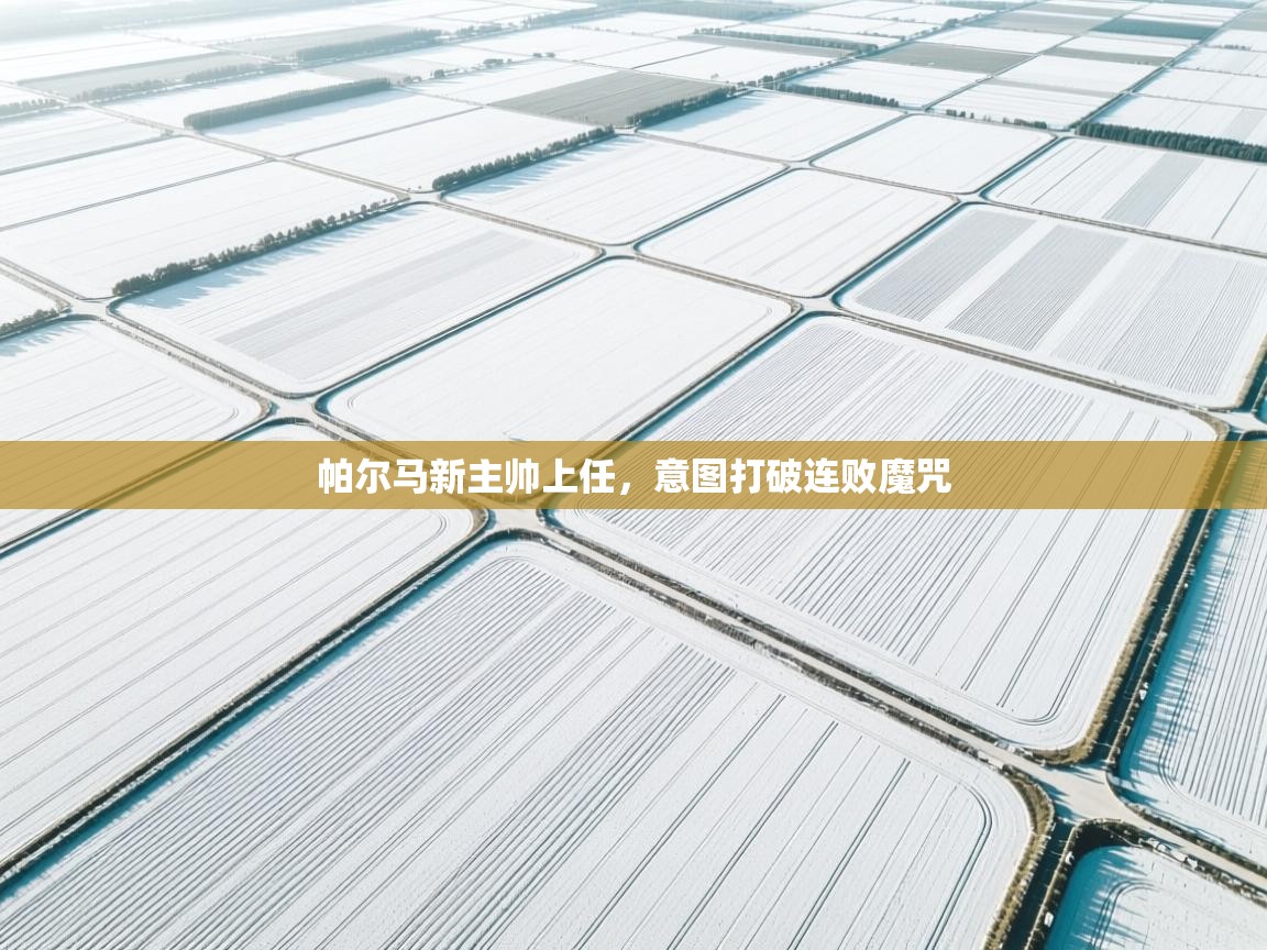 帕尔马新主帅上任,意图打破连败魔咒 第1张