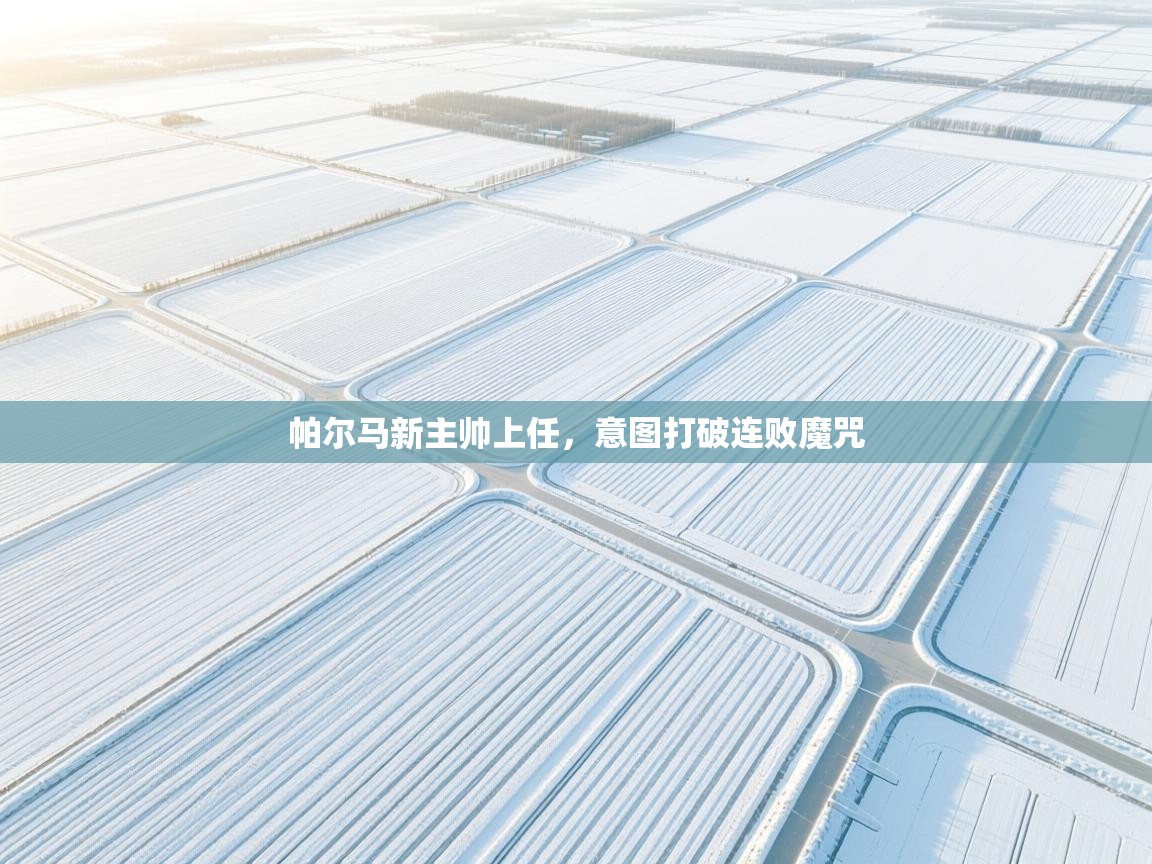 帕尔马新主帅上任,意图打破连败魔咒 第2张