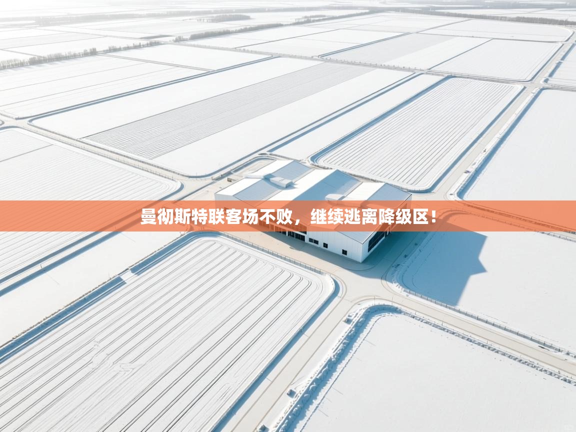 曼彻斯特联客场不败，继续逃离降级区！