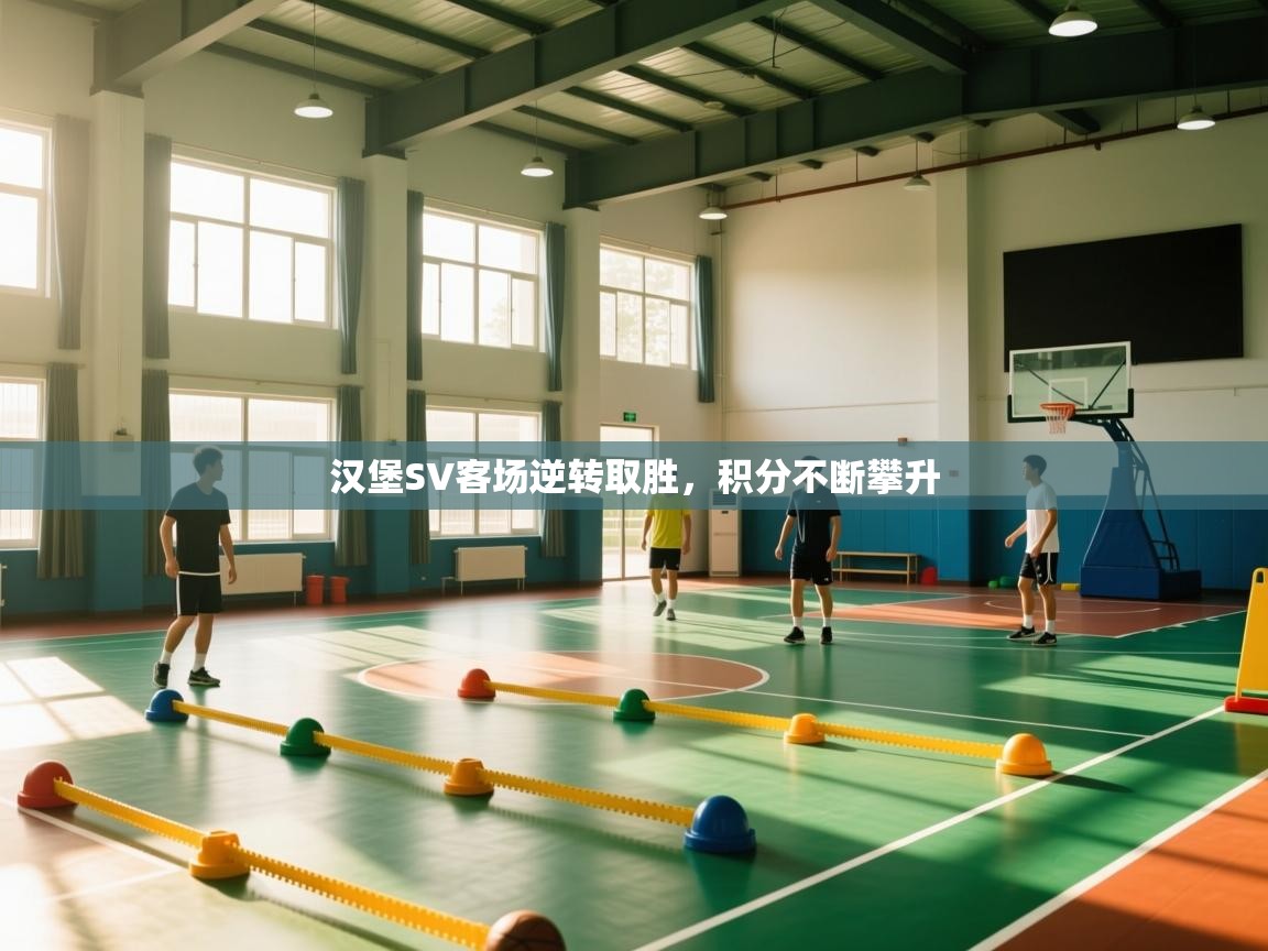 汉堡SV客场逆转取胜，积分不断攀升